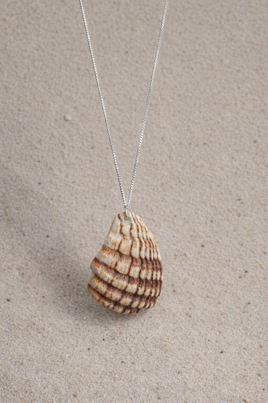 Natural Sea Shell Pendant Necklace