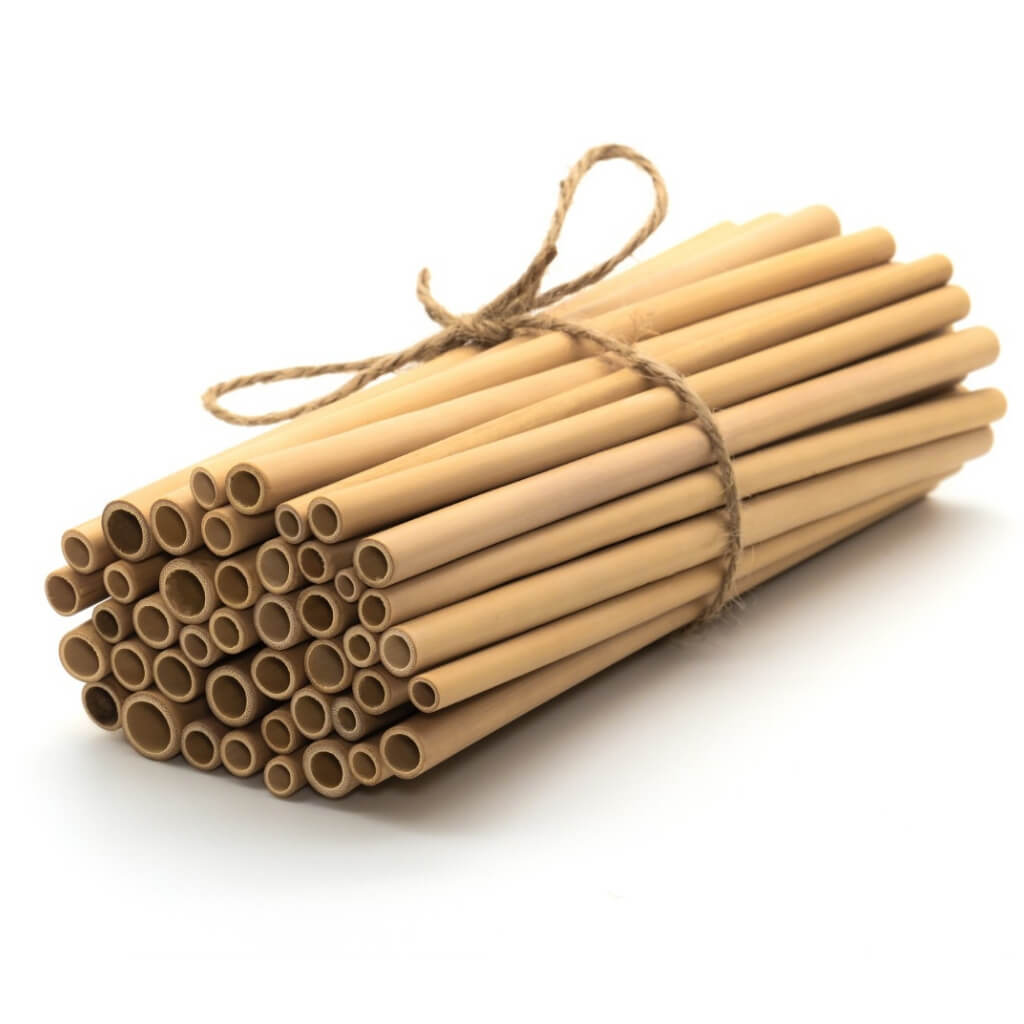 Jungle Straws — Organic, Hand‑Crafted Bamboo Straws